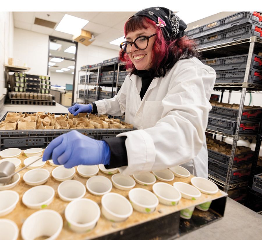 Lab assistant wearing a lab coat and gloves scoops dirt from submitted sample bags into a rack of paper cups