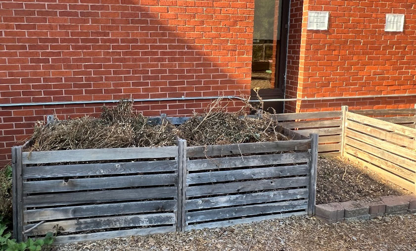 a brick wall backs a set of knee-high wooden compost bins
