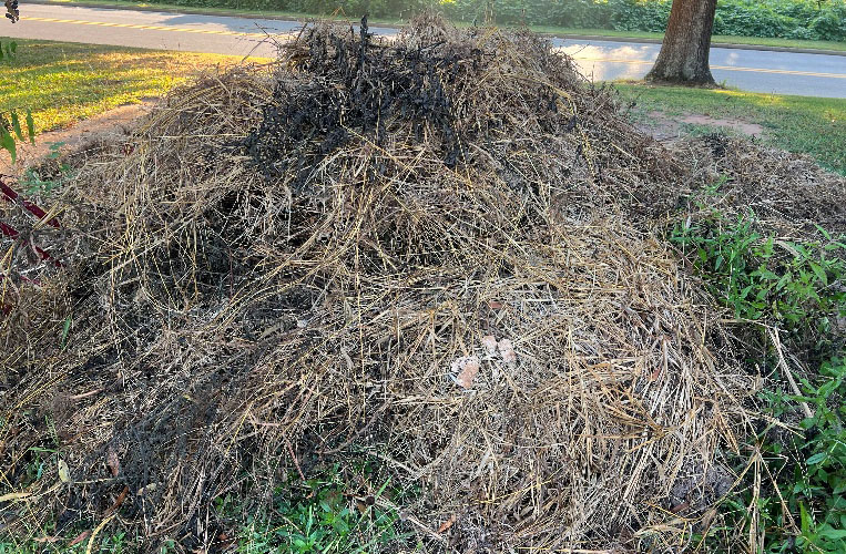 a large pile of brush and bracken sits in a grassy area near a road