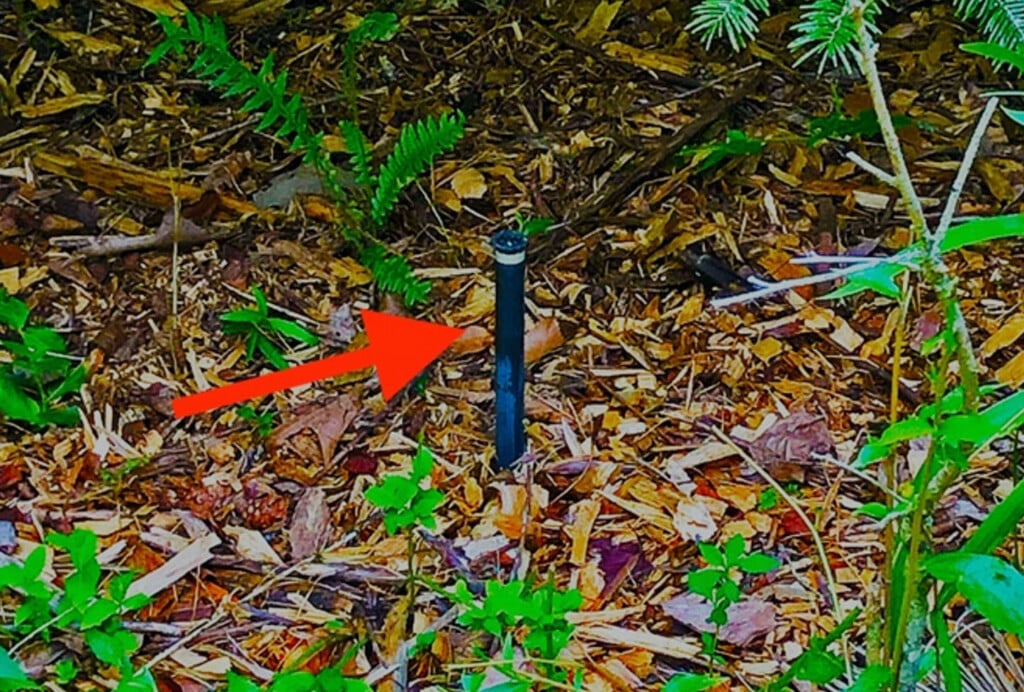 an arrow points to a head in a sprinkler system