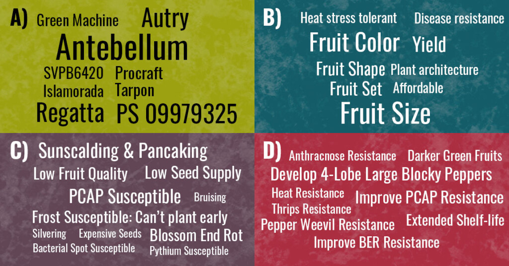 A collection of words about peppers is arranged in four quadrants. Each word is scaled to represent relative importance.