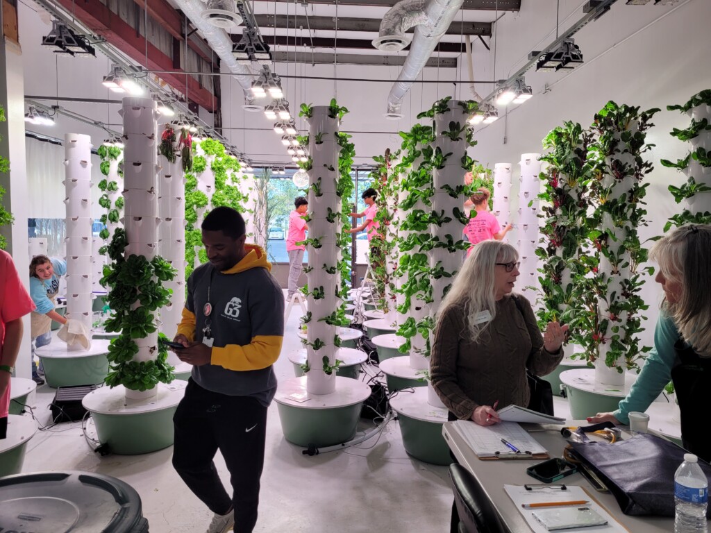 People move through an indoor hydroponic growing space with rows of vertical towers, overhead lighting and leafy greens growing in stacked columns.