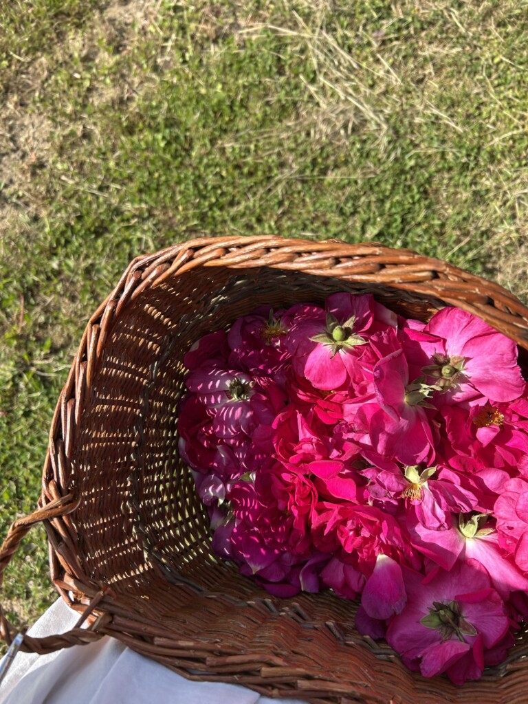 An image with the camera pointed at a brown basket of pink flowers.