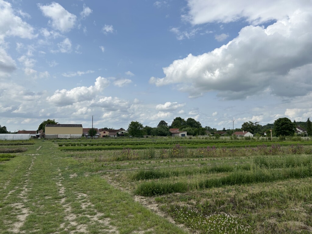 A wide-angle image of a farm in the French countryside.