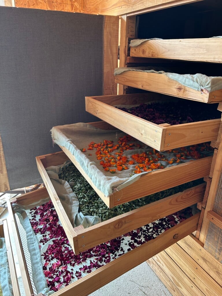 Drying racks pulled open, displaying various dried flowers and herbs.