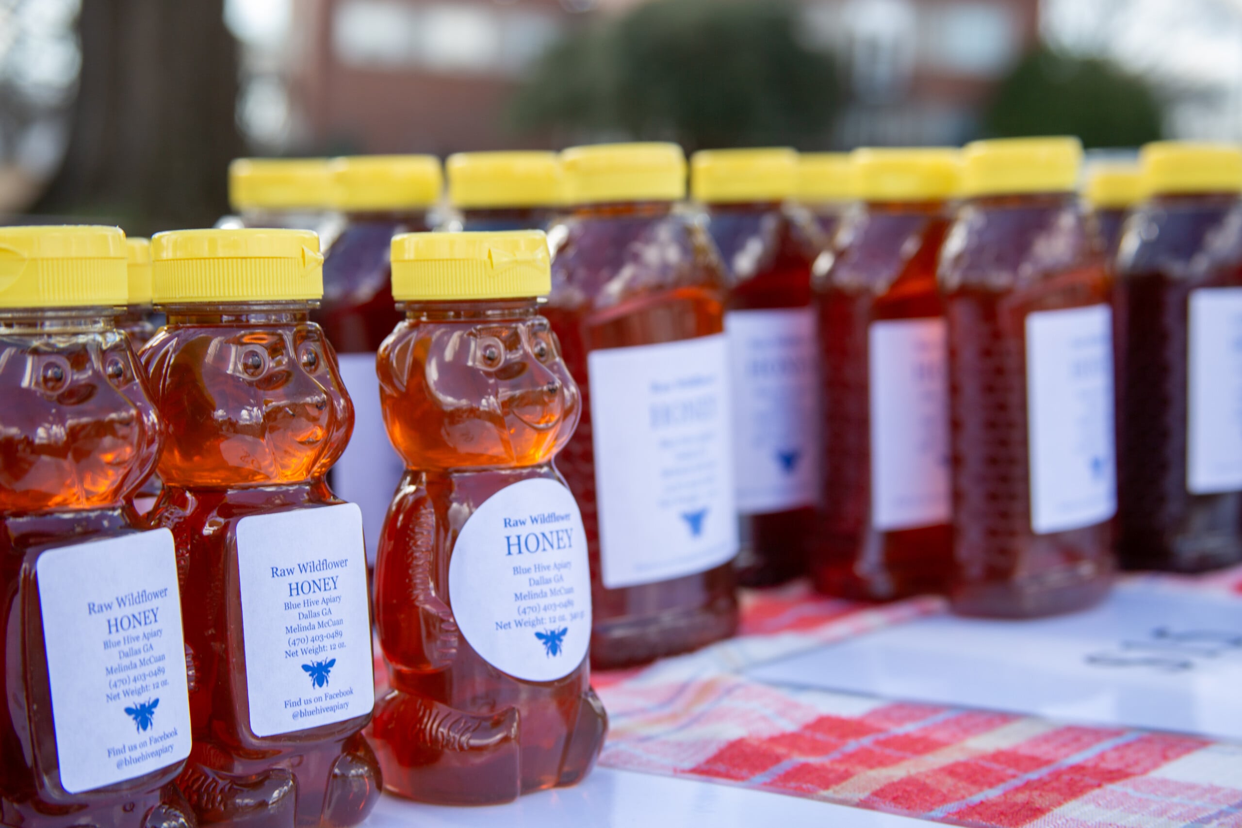Bear shaped bottles of raw wildflower honey from Blue Hive Apiary. Text on the label includes the owners contact information, their facebook and the weight of the product.