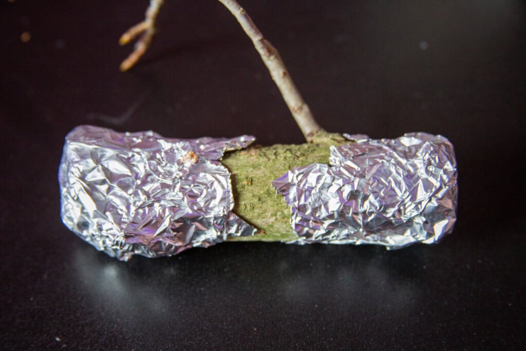 A tree limb with aluminum foil wrapped on the two cut ends.