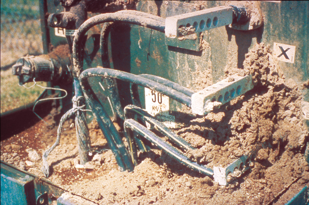 A giant ant mound has been built up next to a green-colored electrical equipment housing box.