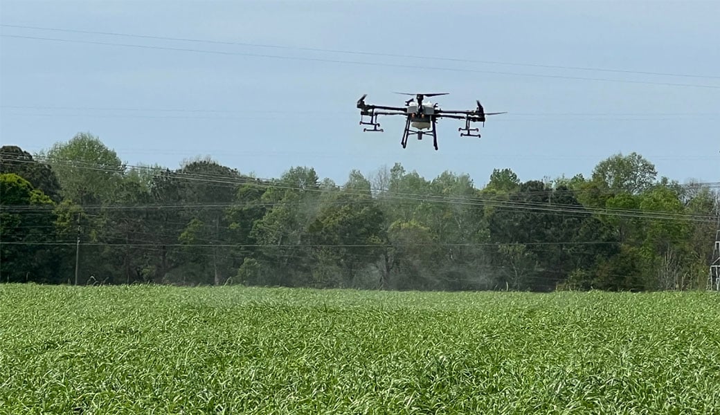 A drone flies against blue skies above crops growing in a field