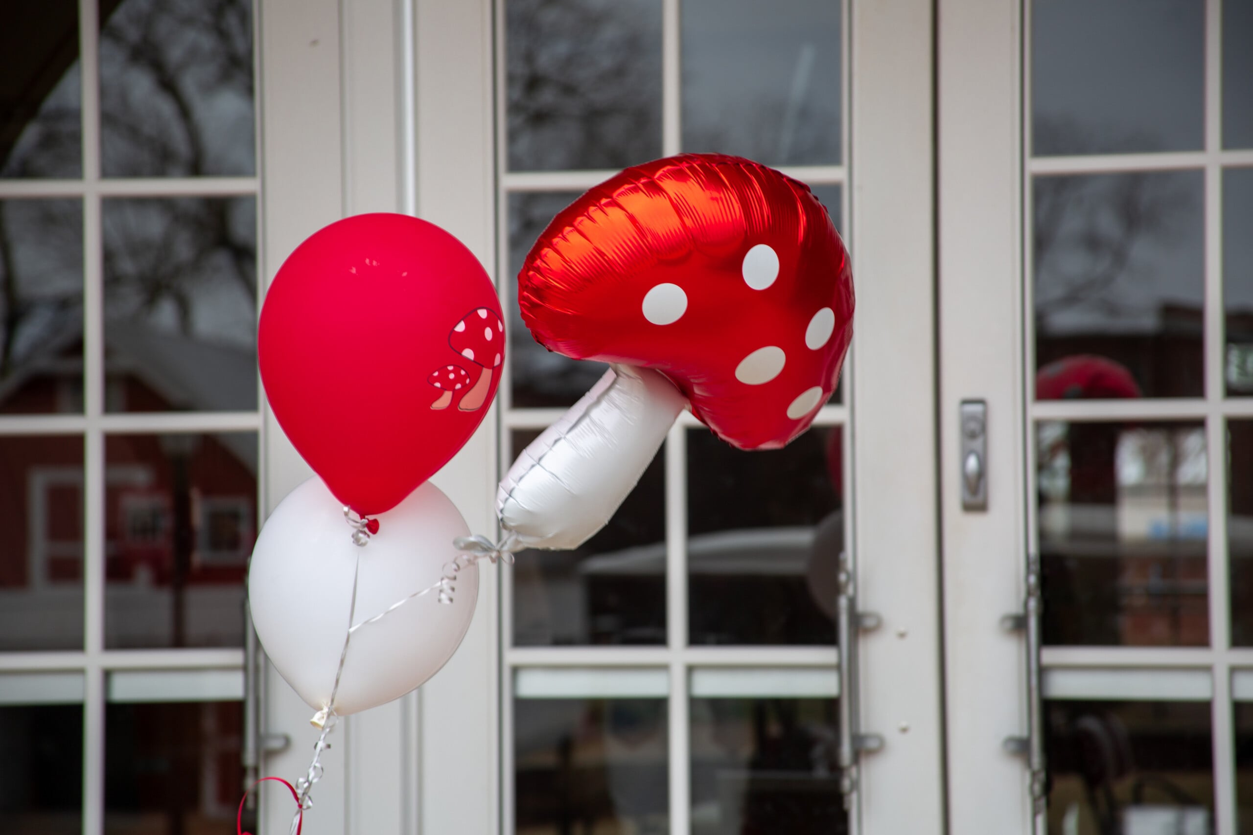 Mushroom shaped foil balloon and two latex balloons swaying in the breeze.