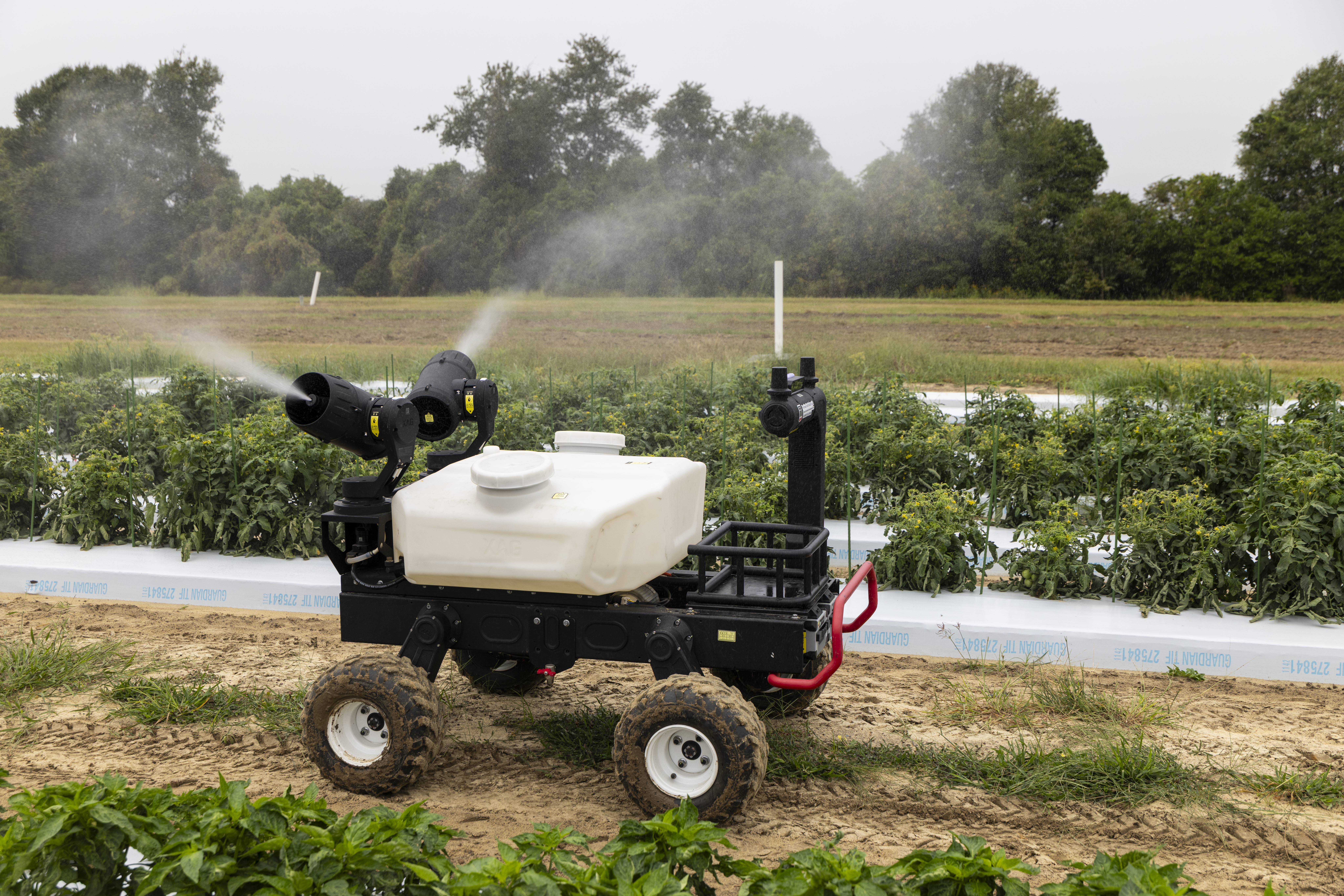 Four‑wheeled agricultural robot spraying liquid over rows of green crops in a cultivated field, with trees in the distance.