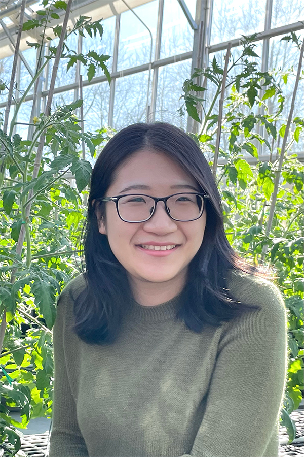 Qian Feng wears glasses and smiles as she sits in greenhouse with tomato plants in the background. 
