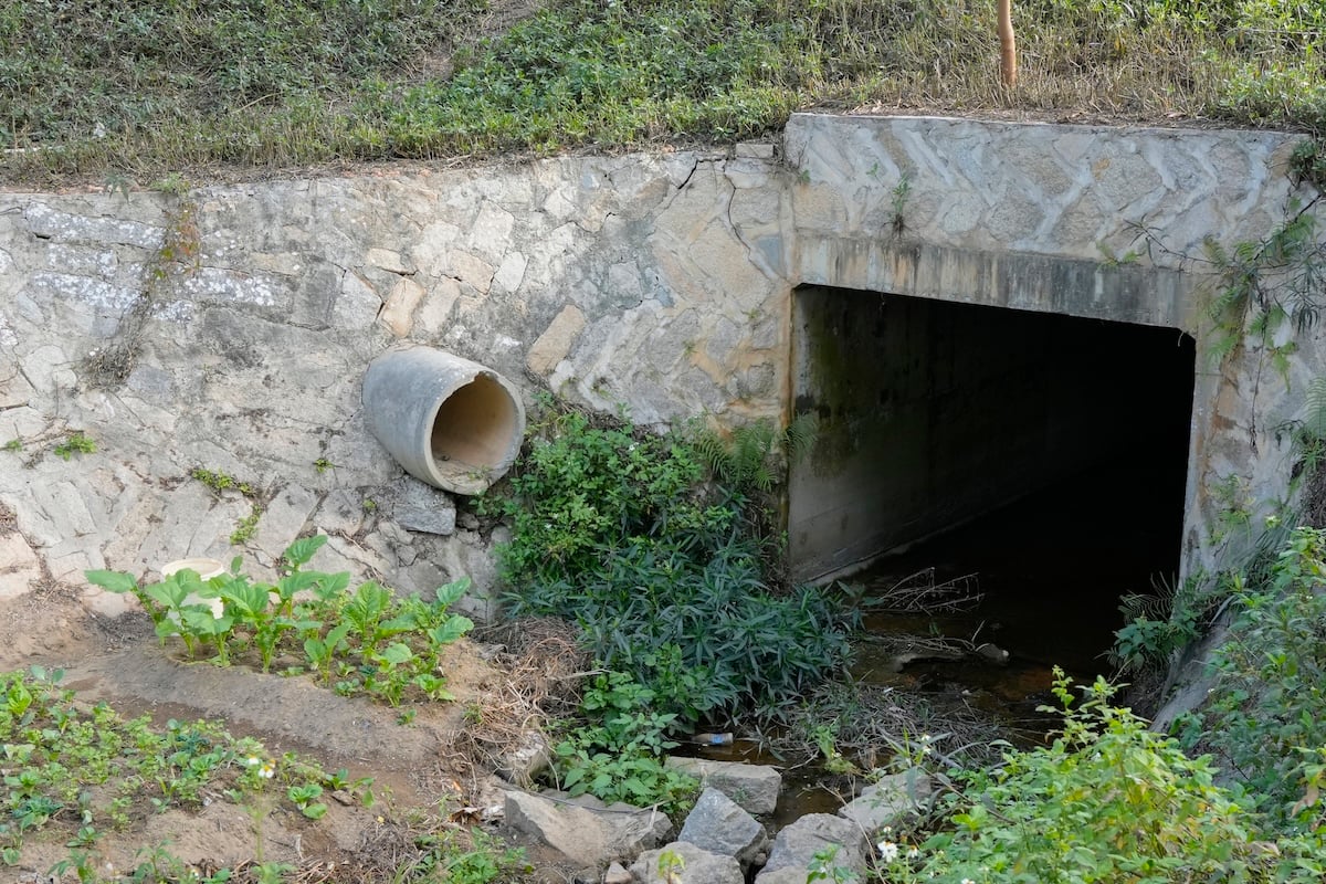A concrete drainage culvert built into a stone retaining wall beneath a road or embankment. The structure is partially overgrown with weeds and small plants, with standing water and an old cement pipe lies nearby.