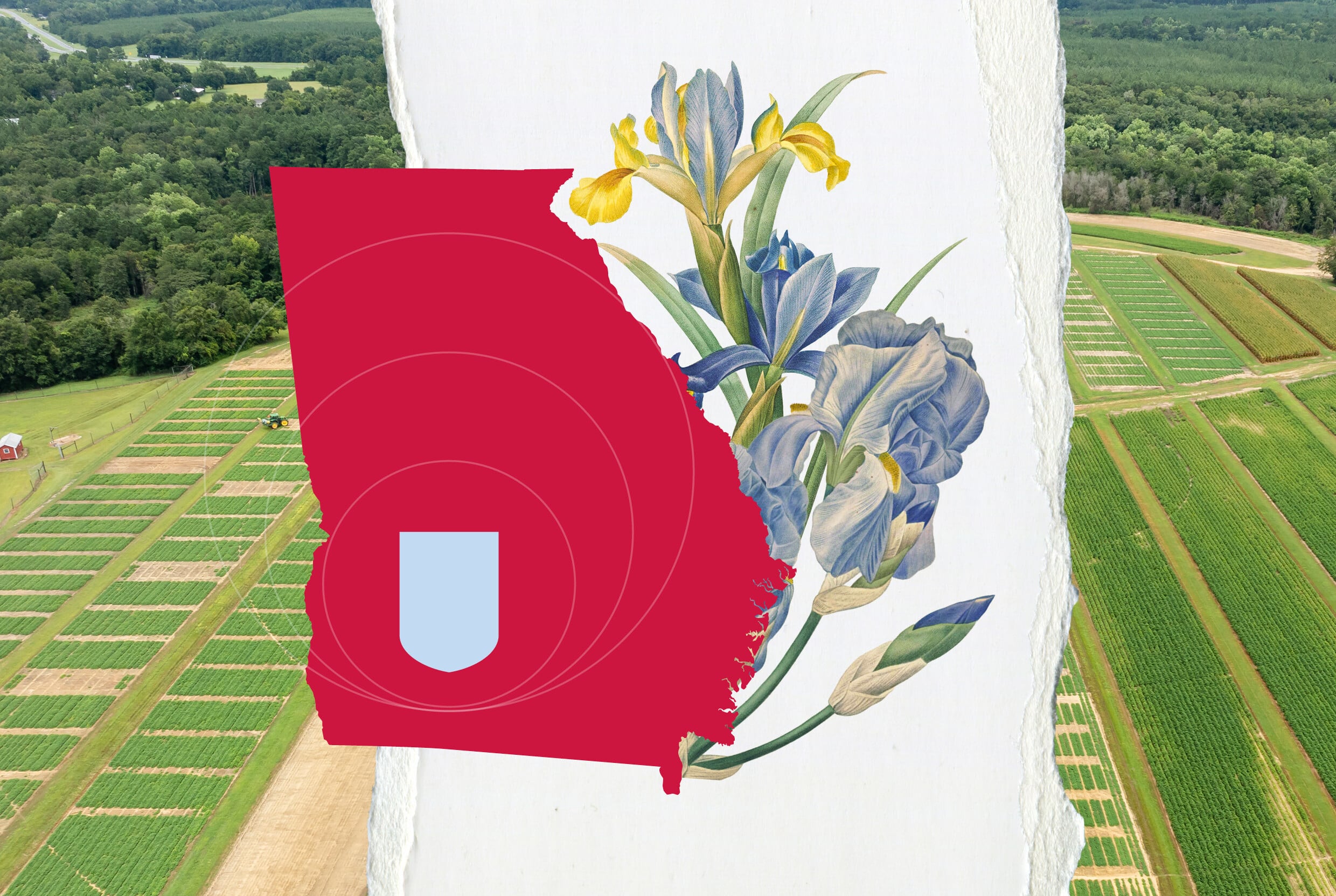 red state of Georgia with iris illustrations and blue shield shape over an aerial of a farm.