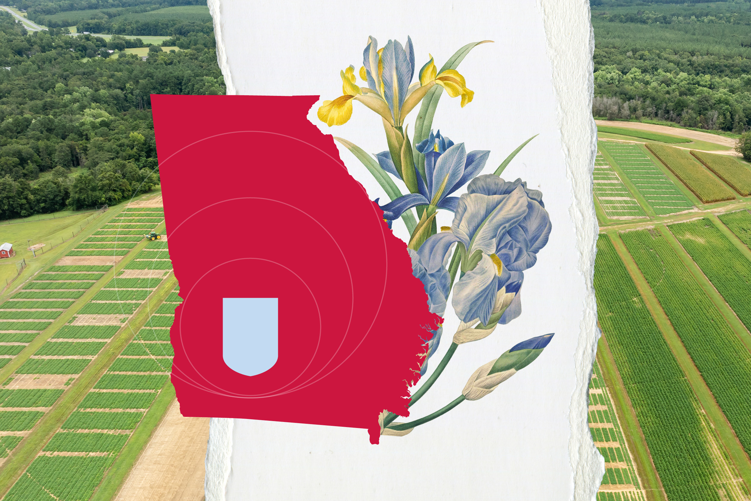 red state of Georgia with iris illustrations and blue shield shape over an aerial of a farm.