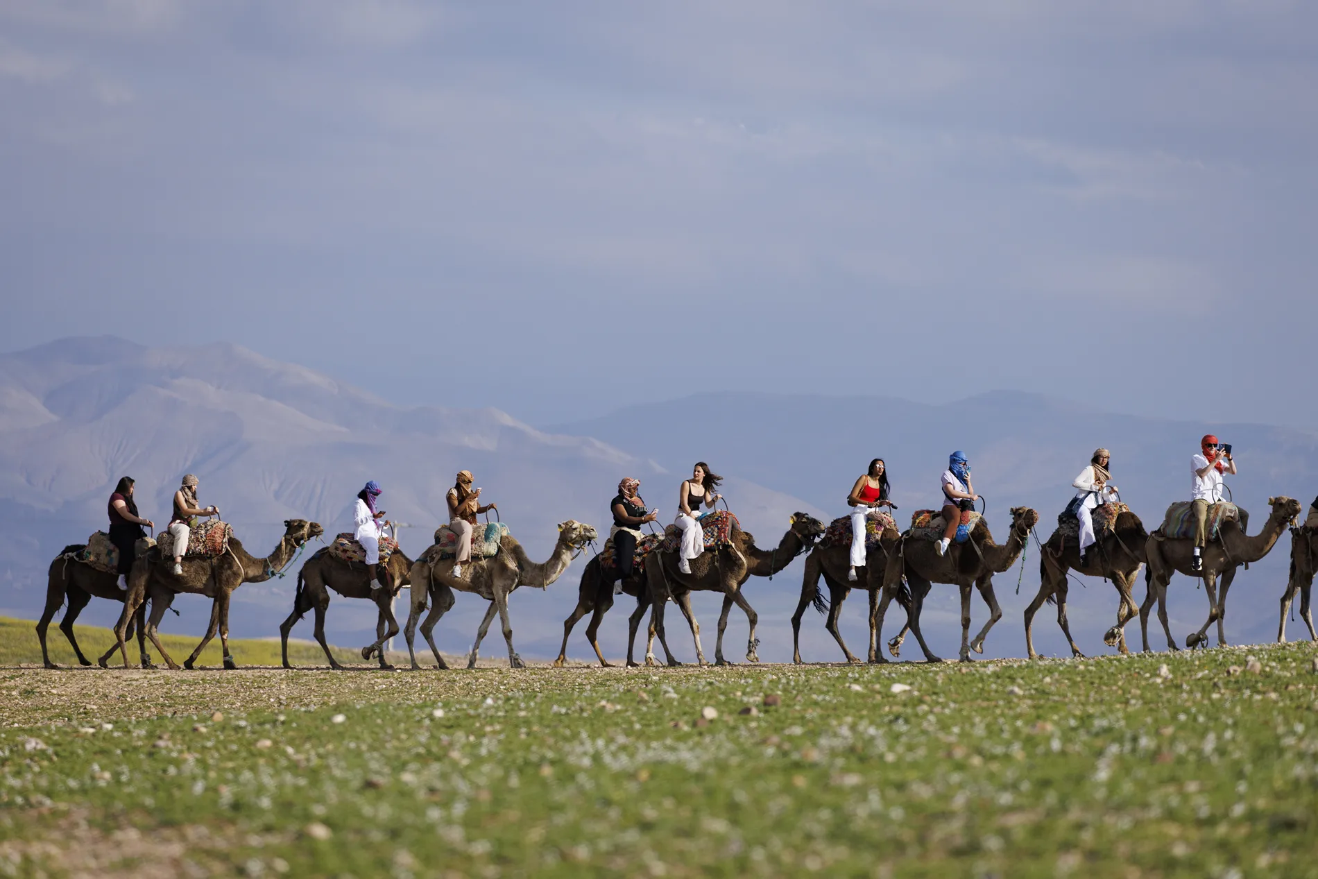 Students ride camels with a mountainous backdrop