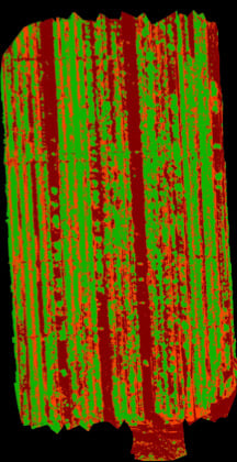 a composite made from aerial photos of a field that has been processed to indicate blight in crops with regions of color