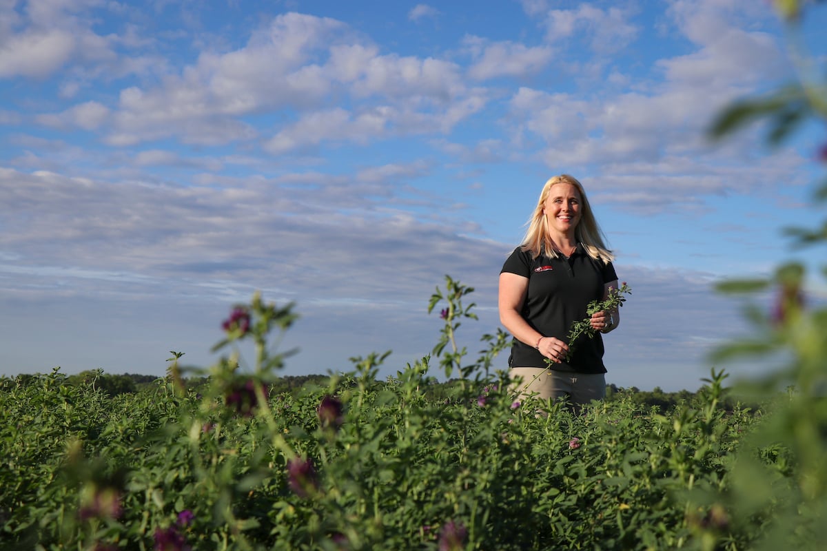 Jennifer Tucker holds a stalk of flowering alfalfa as she stands in a field of the crop in bloom.