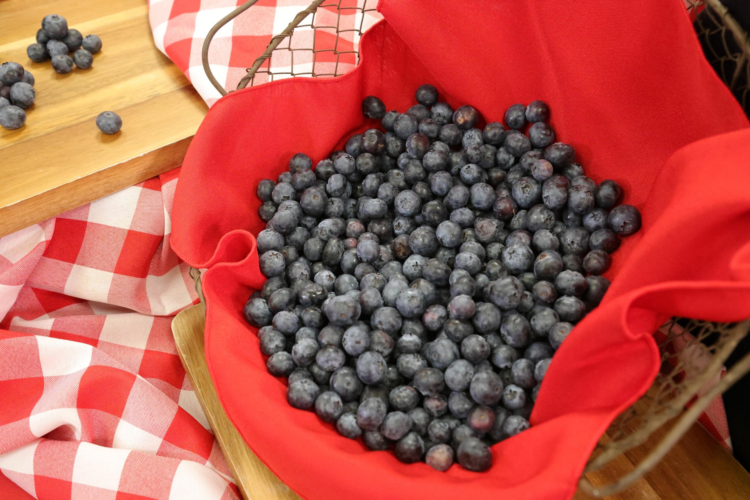 A large bowl of fresh blueberries