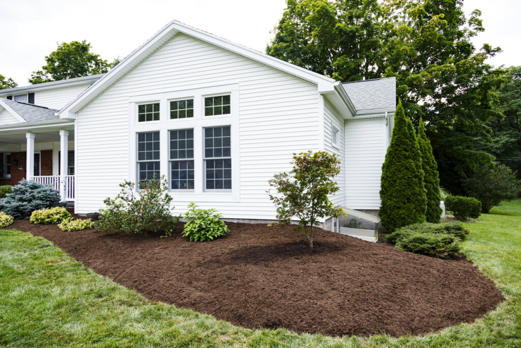 Front of a house with a variety of landscape plants with mulch surrounding them and grass lawn in the foreground.