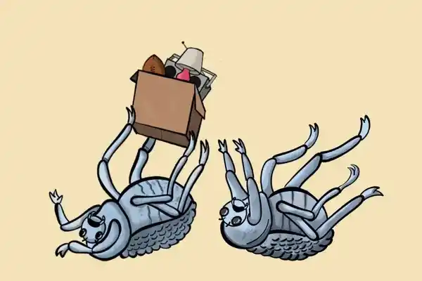 Animated cartoon of two death-feigning beetles on their backs, attempting to pass a cardboard moving box containing household items
