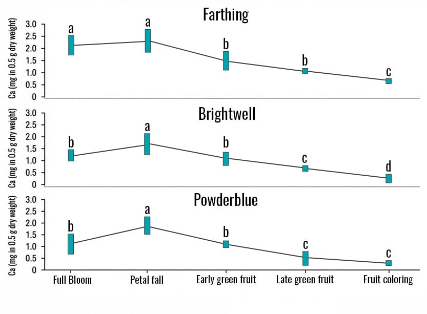 In this figure made of three line graphs, three blueberry cultivars, Farthing, Brightwell, and Powderblue, have their calcium concentrations compared through the late stages of blueberry growth.