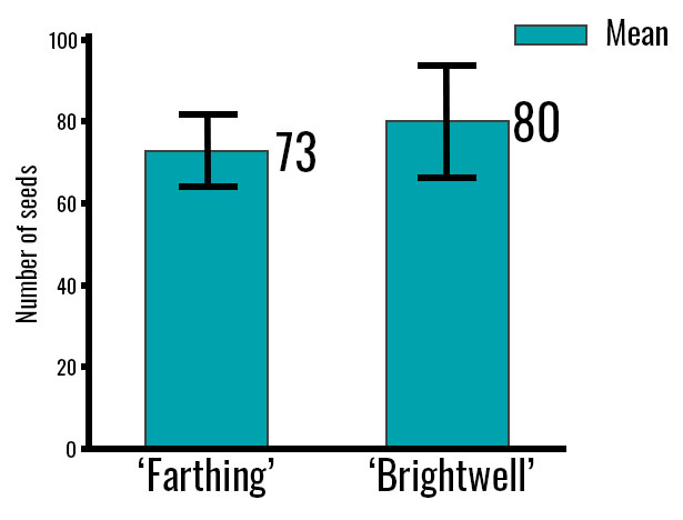 in this bar chart two cultivars, Farthing and Brightwell, have their seeds and calcium concentrations measured.