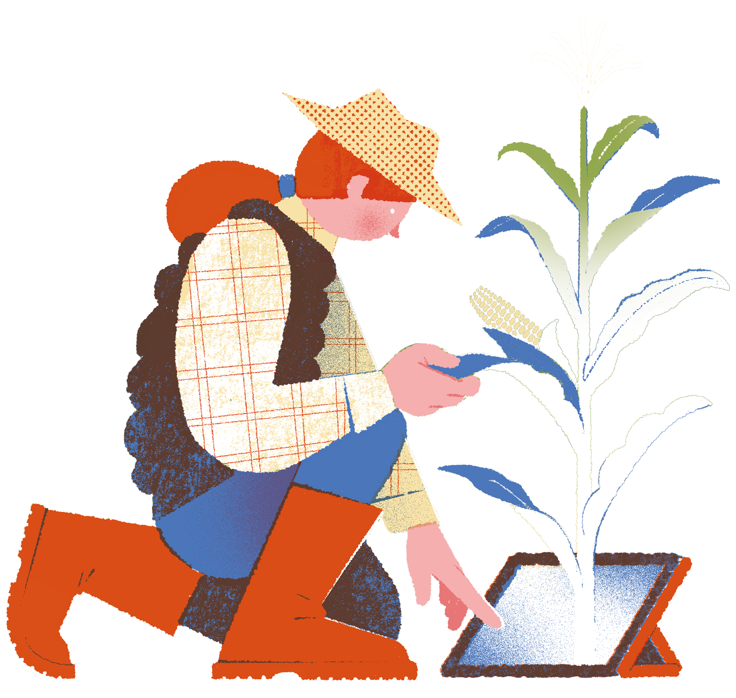 Illustration of a farmer kneeling at a tablet from which a corn stalk grows