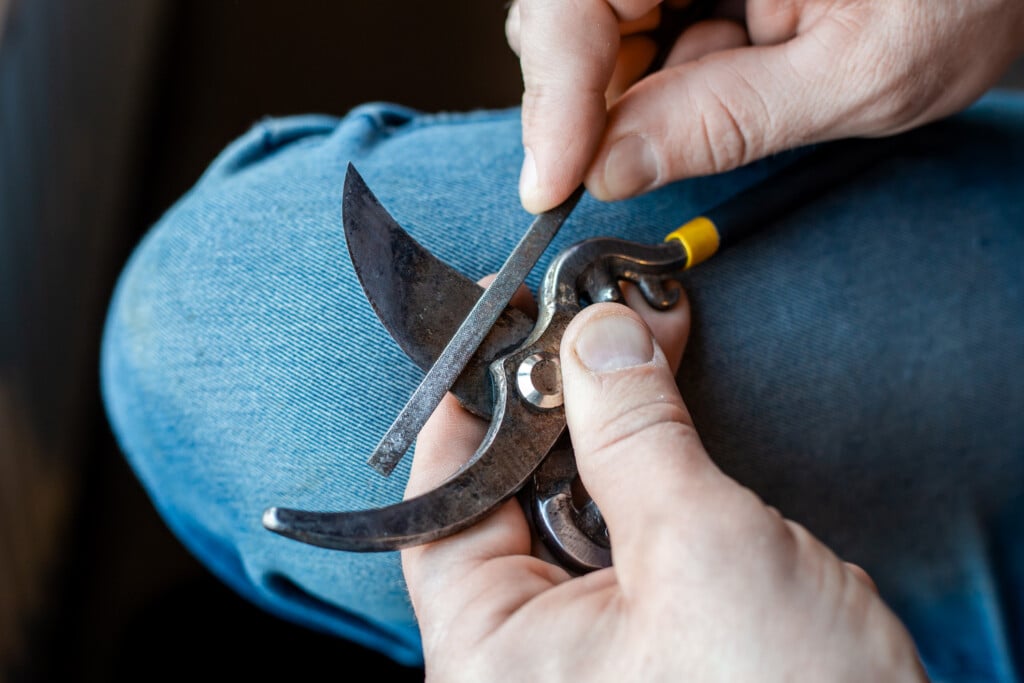 two hands hold a pair of pruners, sharpening them with a small rasp