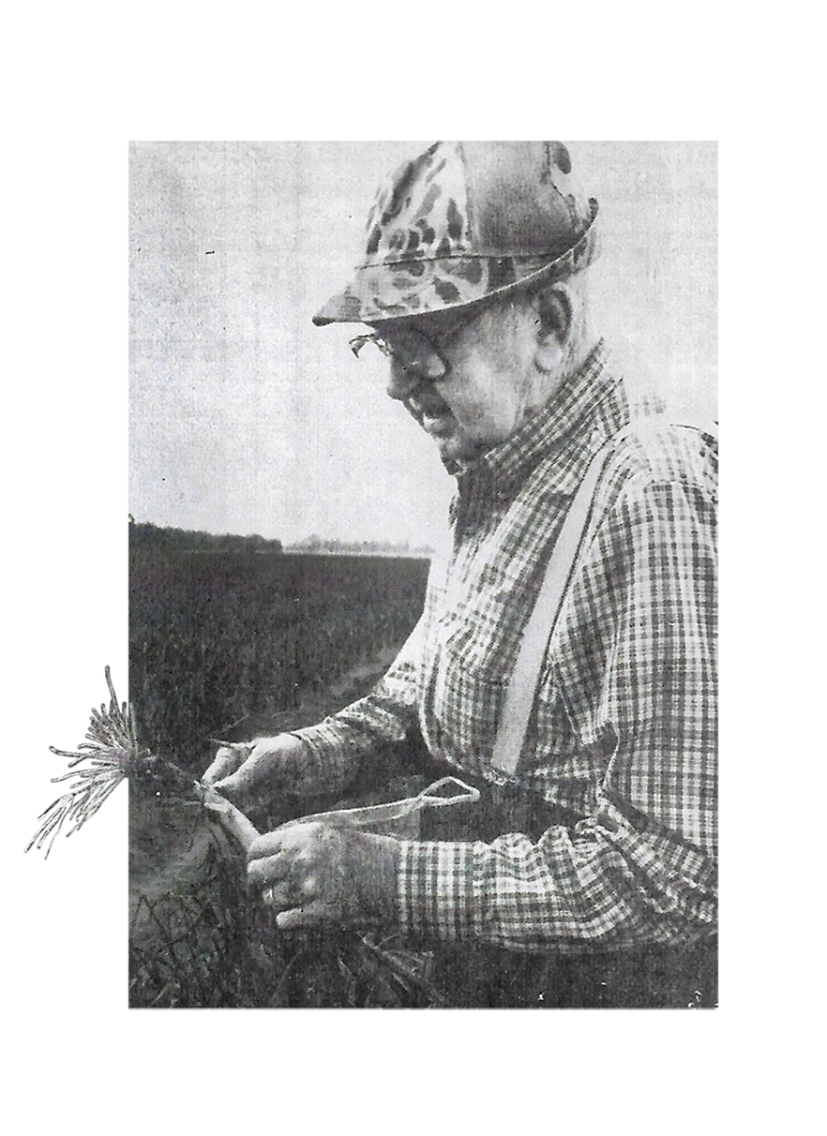 Black and white photo of an elderly man holding a just-picked onion
