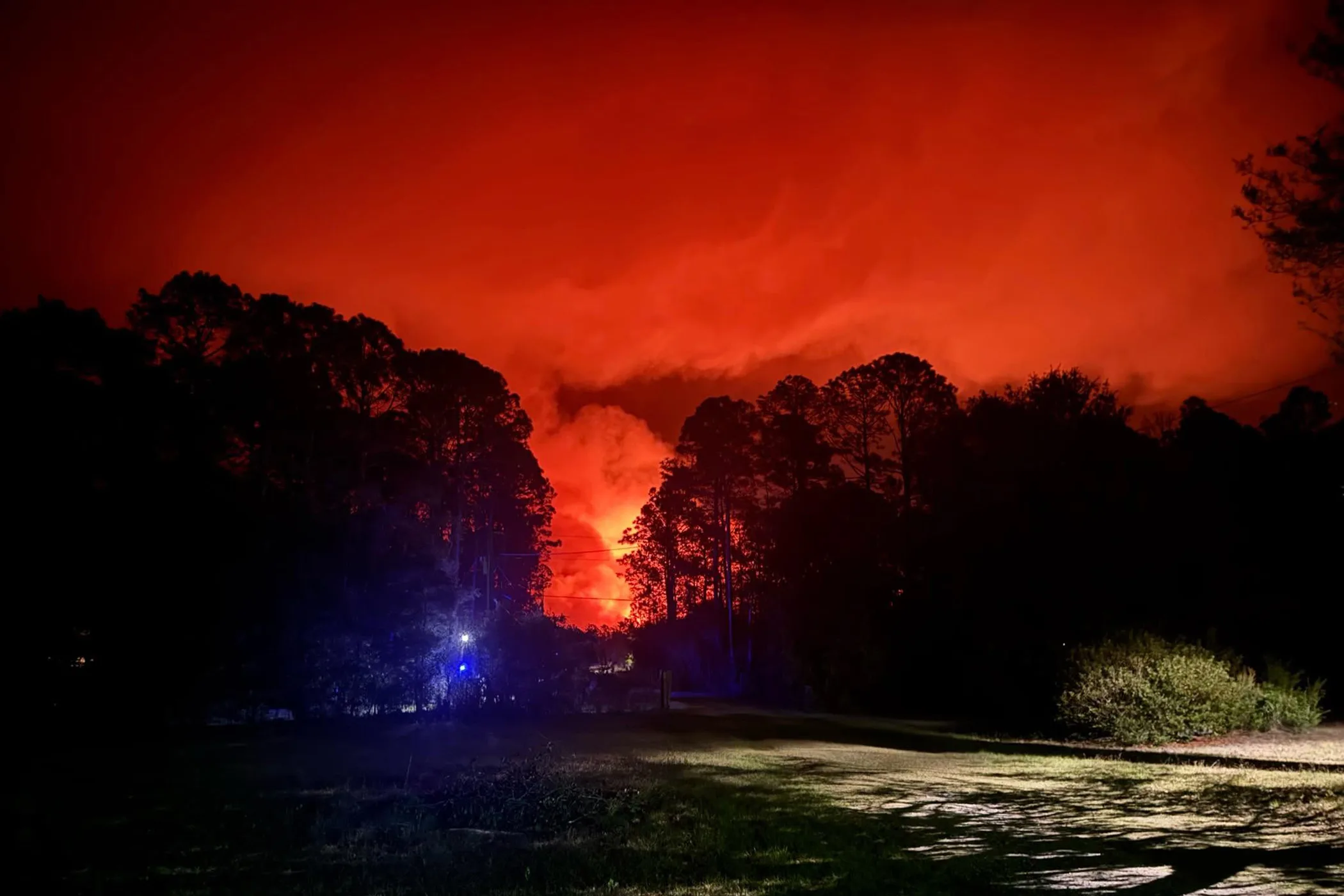 Fire in the background at night with trees silhouetted against the fire-red sky.