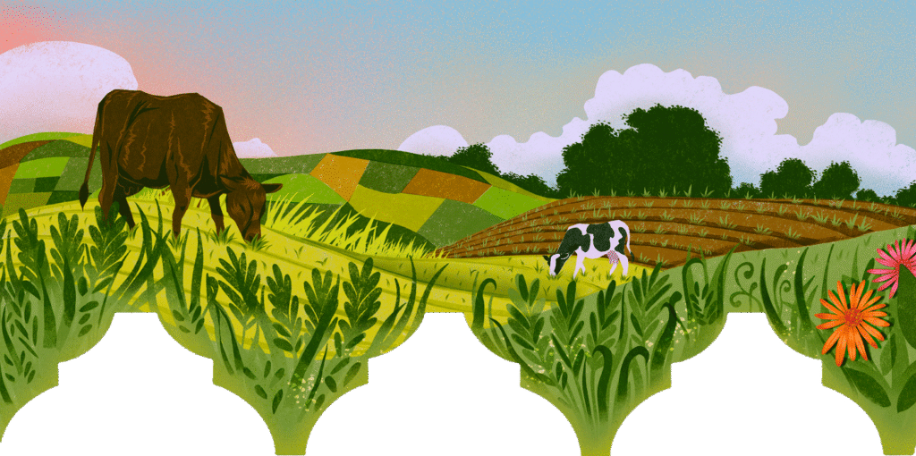 Illustration of cows grazing a field