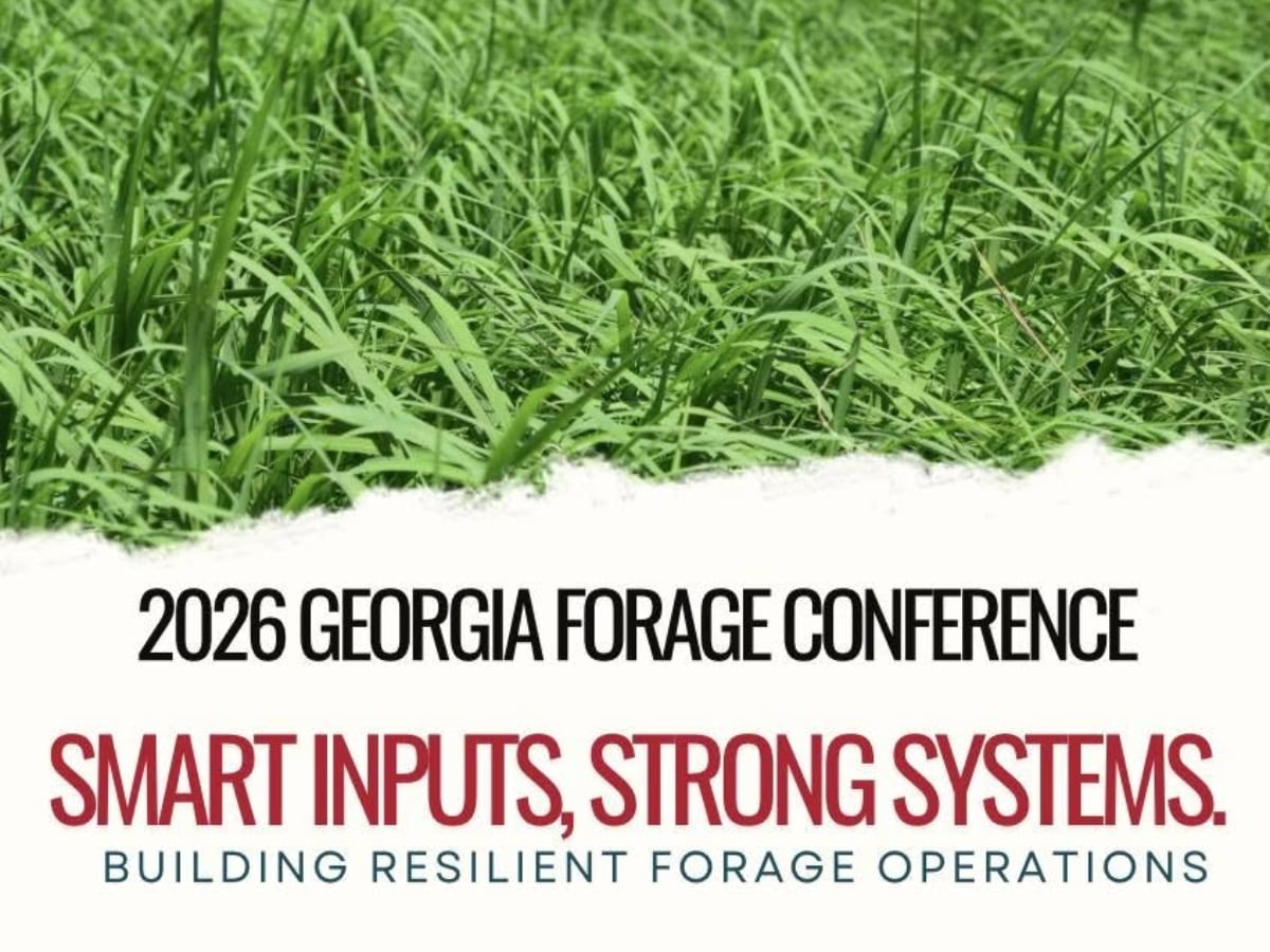 Promotional graphic for the 2026 Georgia Forage Conference. The top half of the image shows a close-up view of lush green forage grass. Below, on a white background, black text reads “2026 Georgia Forage Conference.” Large red text states “Smart Inputs, Strong Systems.” Smaller blue-gray text below reads “Building Resilient Forage Operations.”