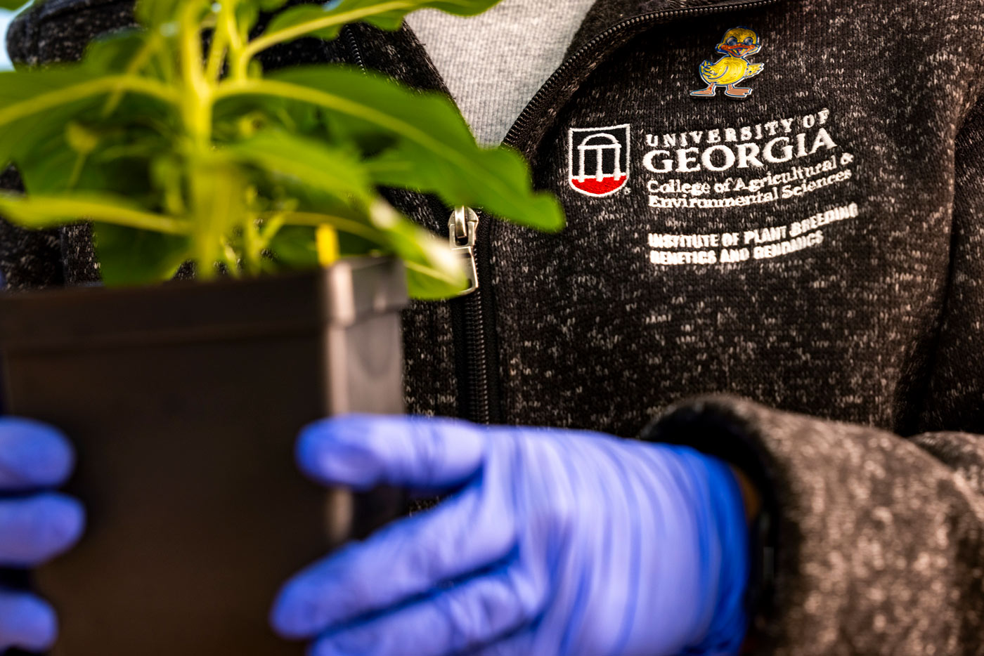 Close-up of Buell holding a potted plant, wearing a UGA Institute of Plant Breeding, Genetics and Genomics sweater