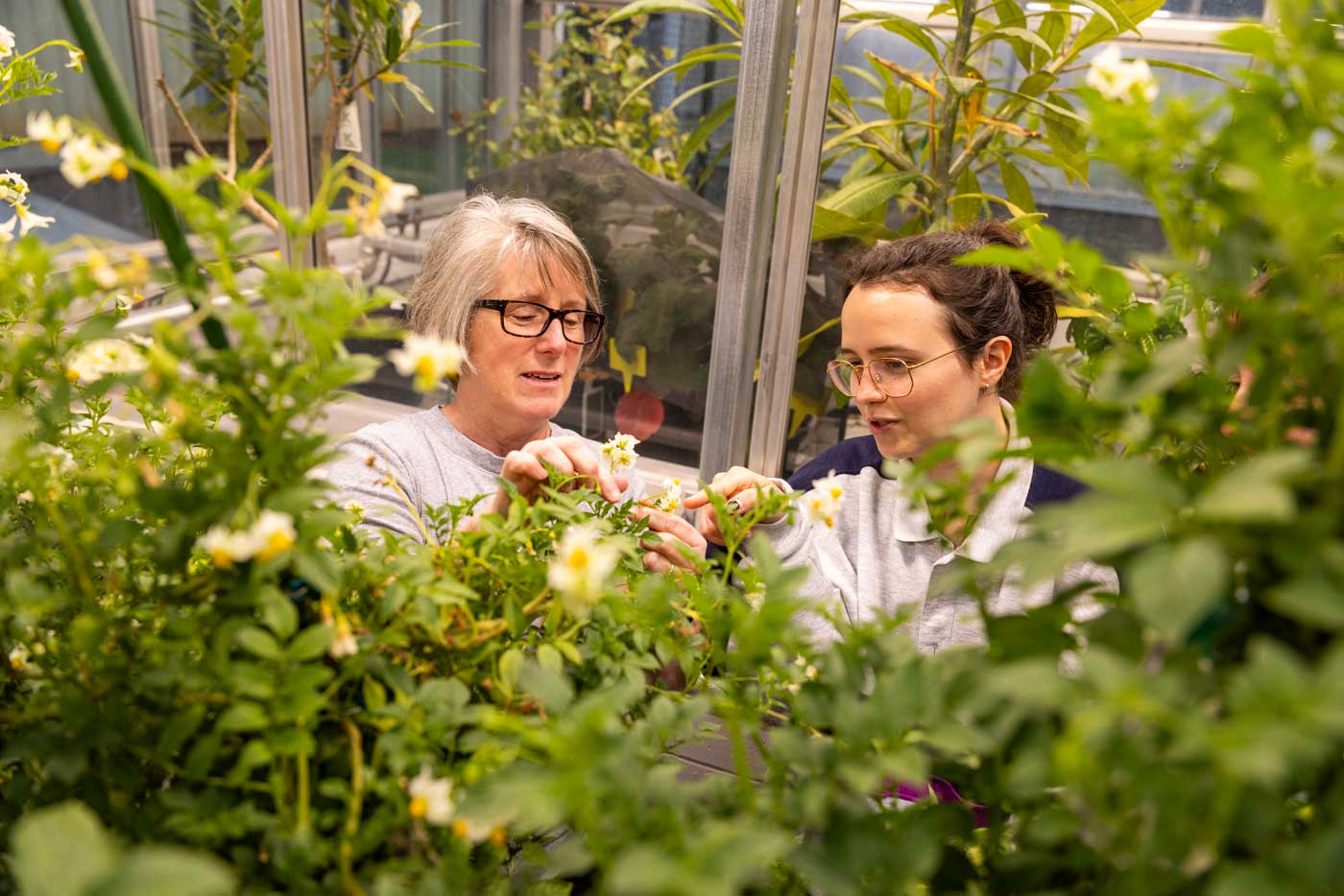 Buell and Pavia examine a small flower