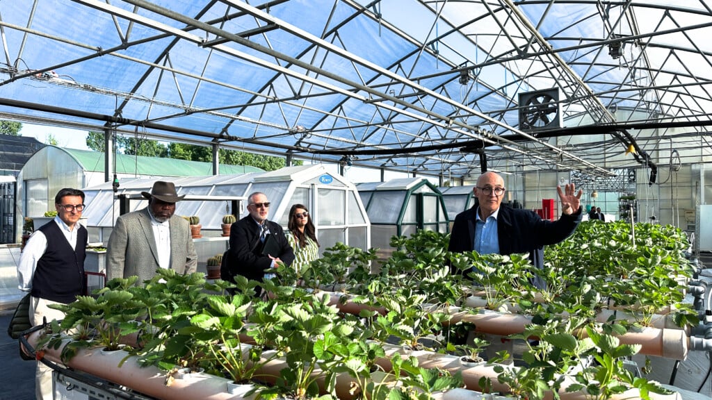Participants in a greenhouse where hydroponic strawberries are grown.