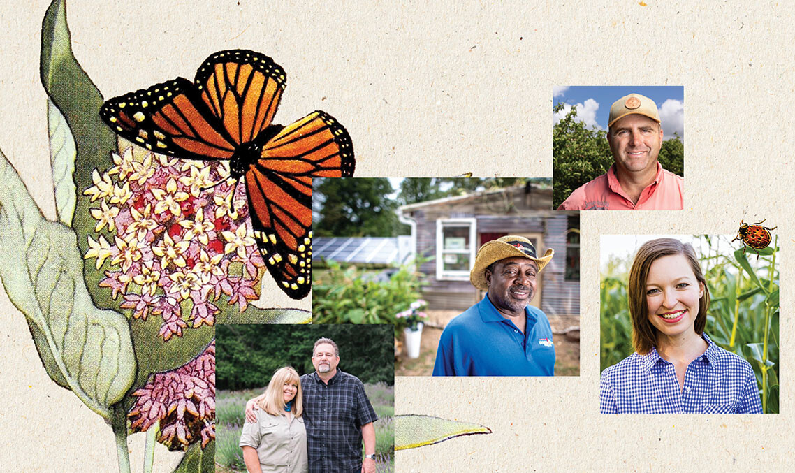 Collage image of illustrated butterfly with inset photos of young farmers