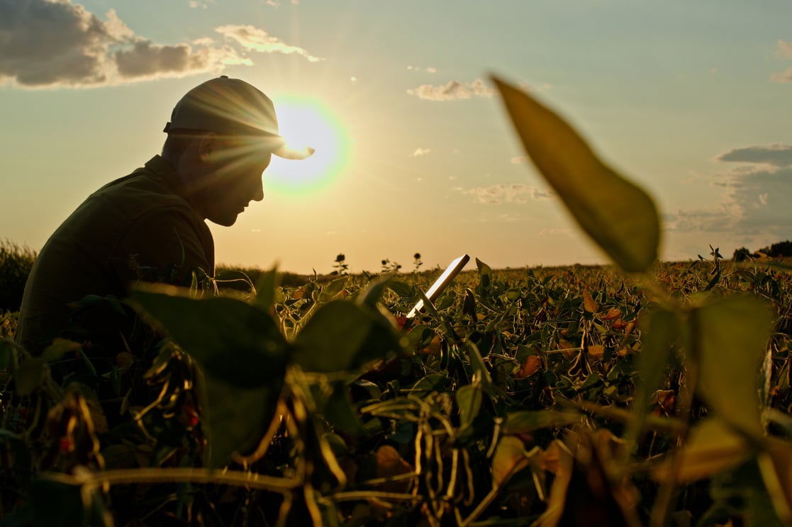 Silhouette of a man wearing a cap sits in a field while looking at a laptop with the sun setting in the background.