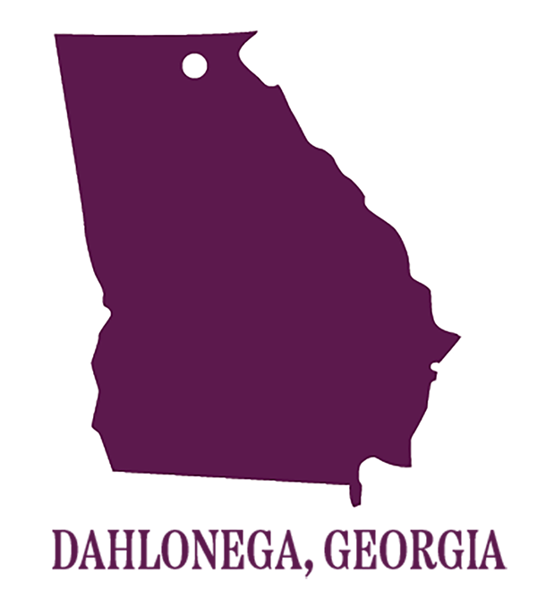 Simple map of Georgia showing location of Dahlonega