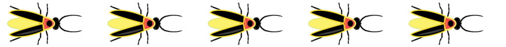 five firefly illustrations fly across the screen