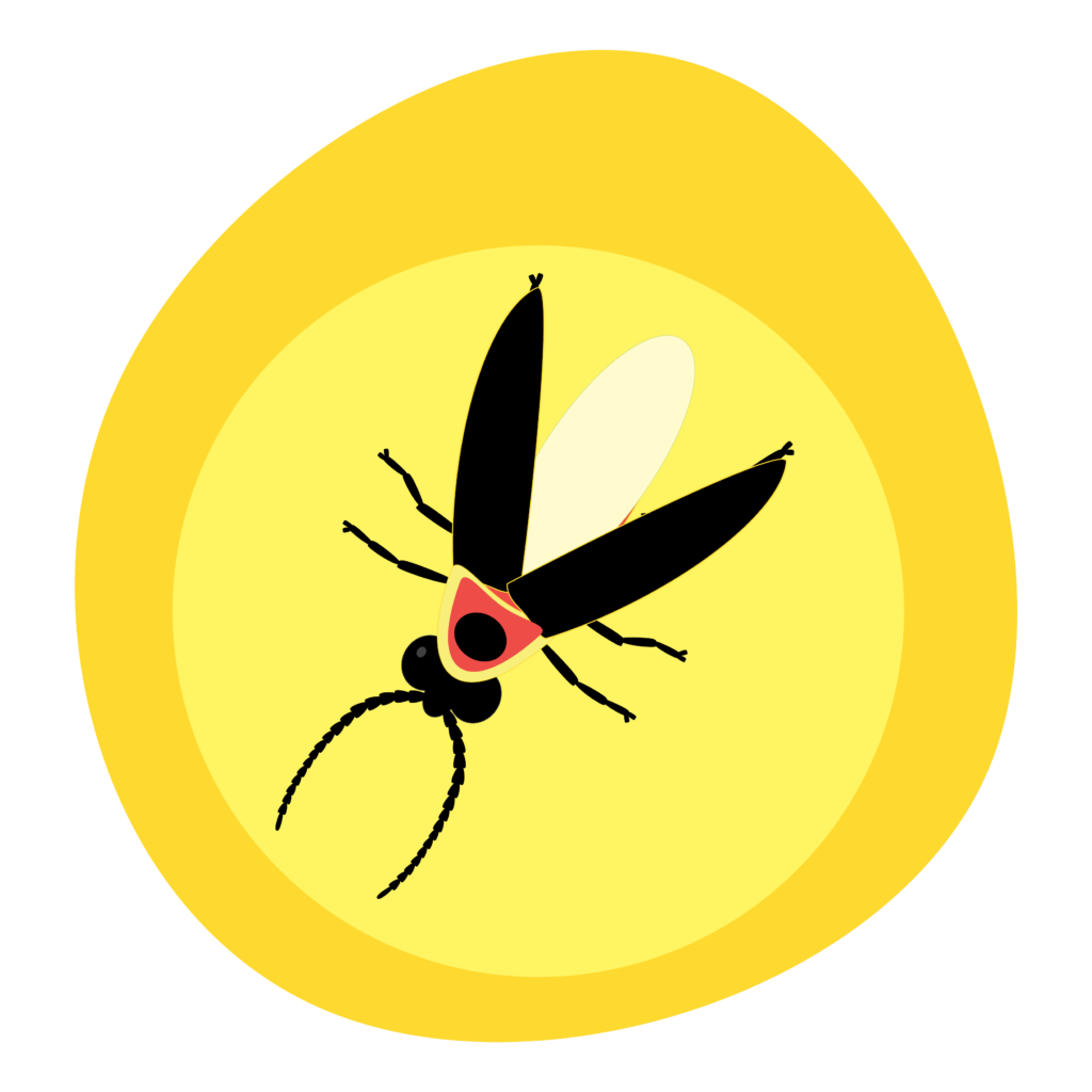 illustration of a glow around a flying firefly