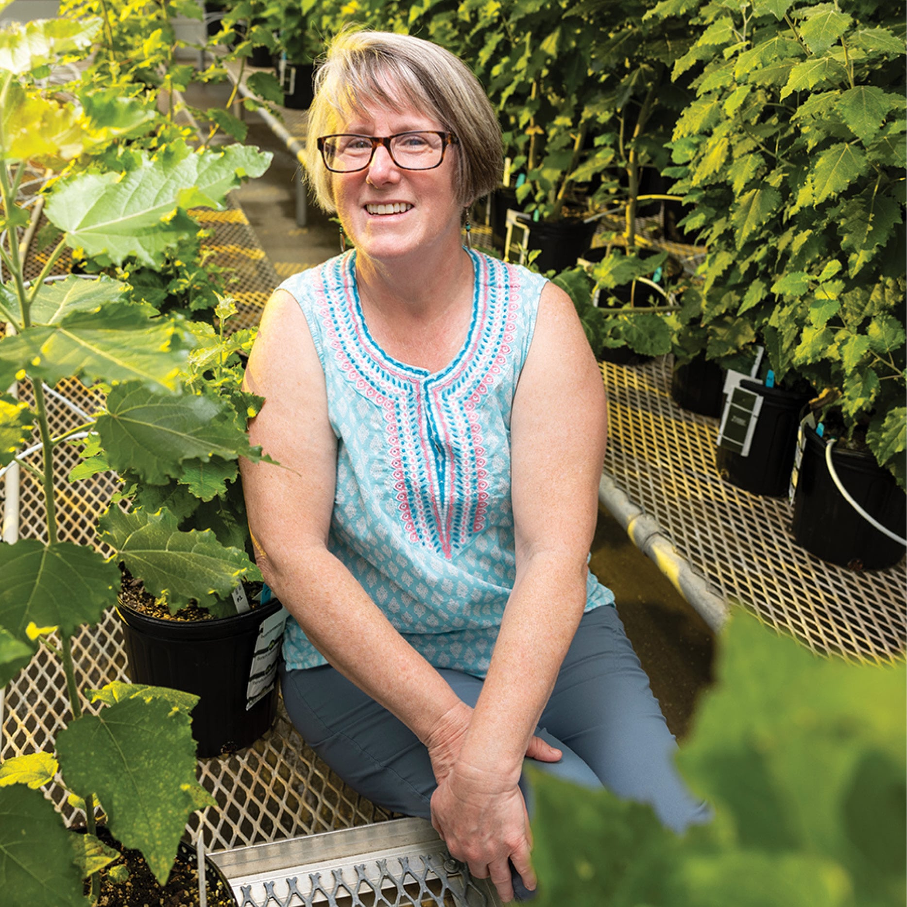 Robin Buell sits among plants in a greenhouse