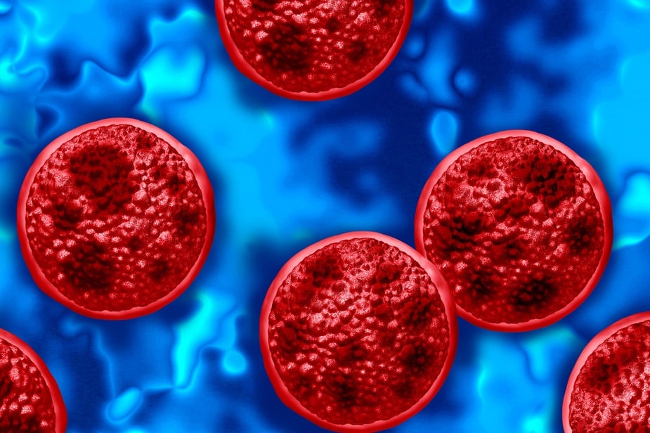 An illustration of the Cyclospora cayetanensis showing red cells on a blue background. (Photo by iStock.com/wildpixel)