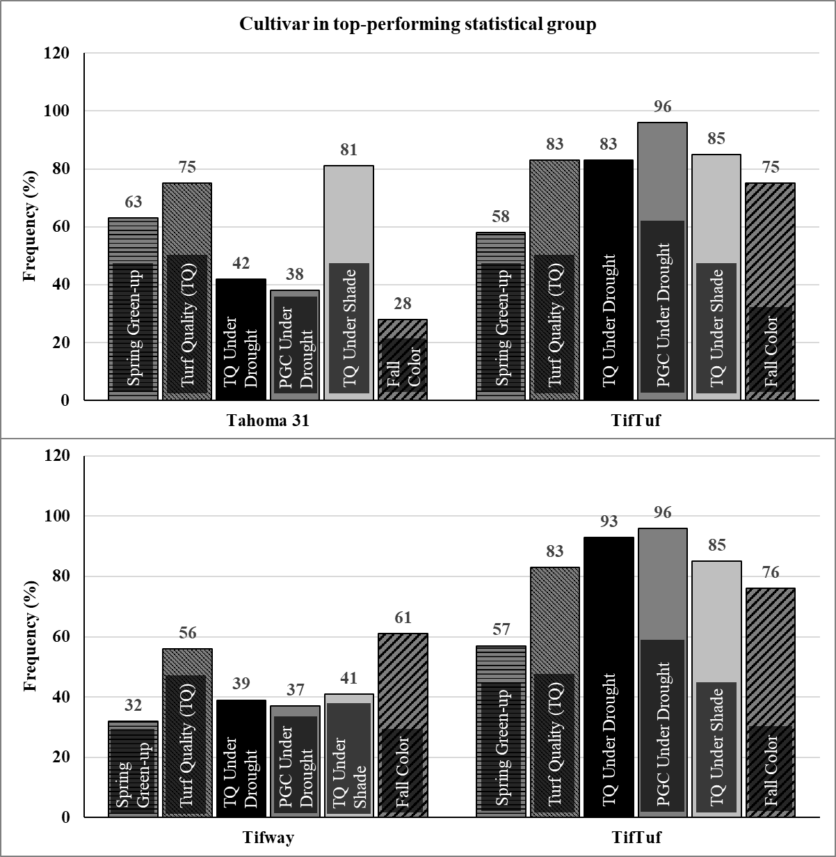 Two charts show that TifTuf outperformed both Tahoma 31 and Tifway across all traits.