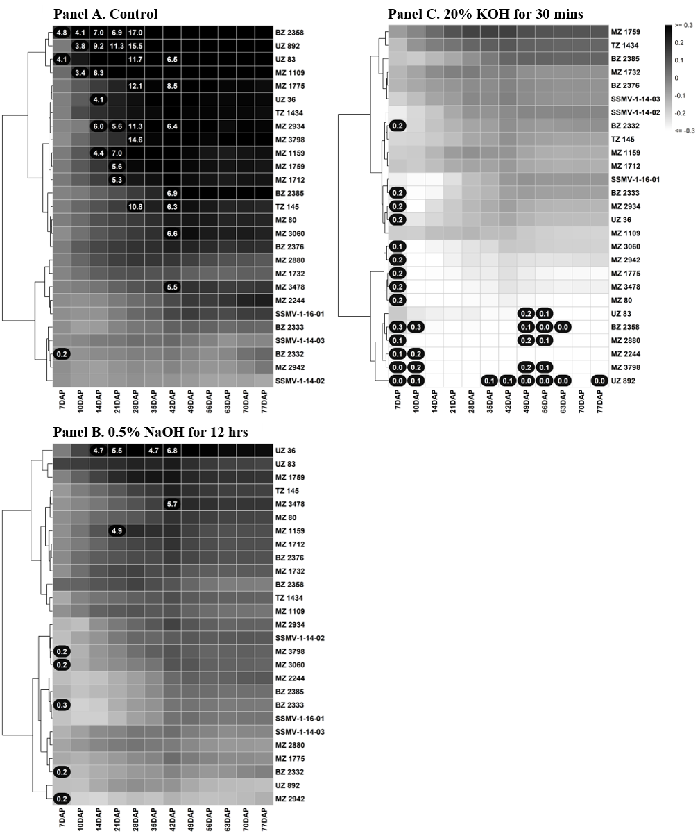 Three seedling emergence heatmaps under different conditions, with the darkest overall shading on the control, and the overall lightest shading on the panel for 20% KOH for 30 min. Darker shading indicates greater cumulative emergence advantages relative to ‘Zenith’, while lighter shading indicates lower advantages.