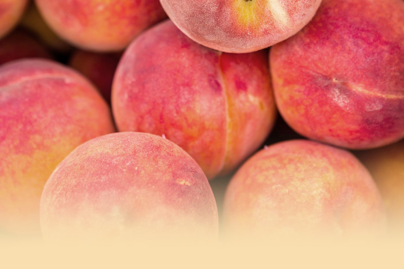 Close-up view of fuzzy peaches