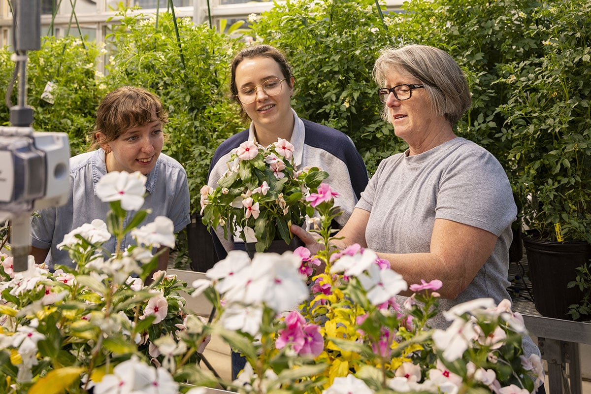 Two graduate students work with a professor examining ornamental plants in a greenhouse.