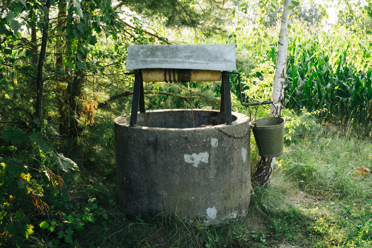 Concrete well in a wooded yard.