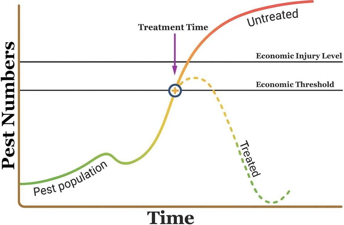Graph illustrating when pest treatment should occur as a pest population increases over time. Two horizontal lines mark the economic threshold, when treatment should begin, and the higher economic injury level, when pest damage becomes economically significant. The pest population rises to the economic threshold, where treatment is applied. Without treatment, the population continues rising above the economic injury level. With treatment, the population declines sharply and remains below both thresholds.