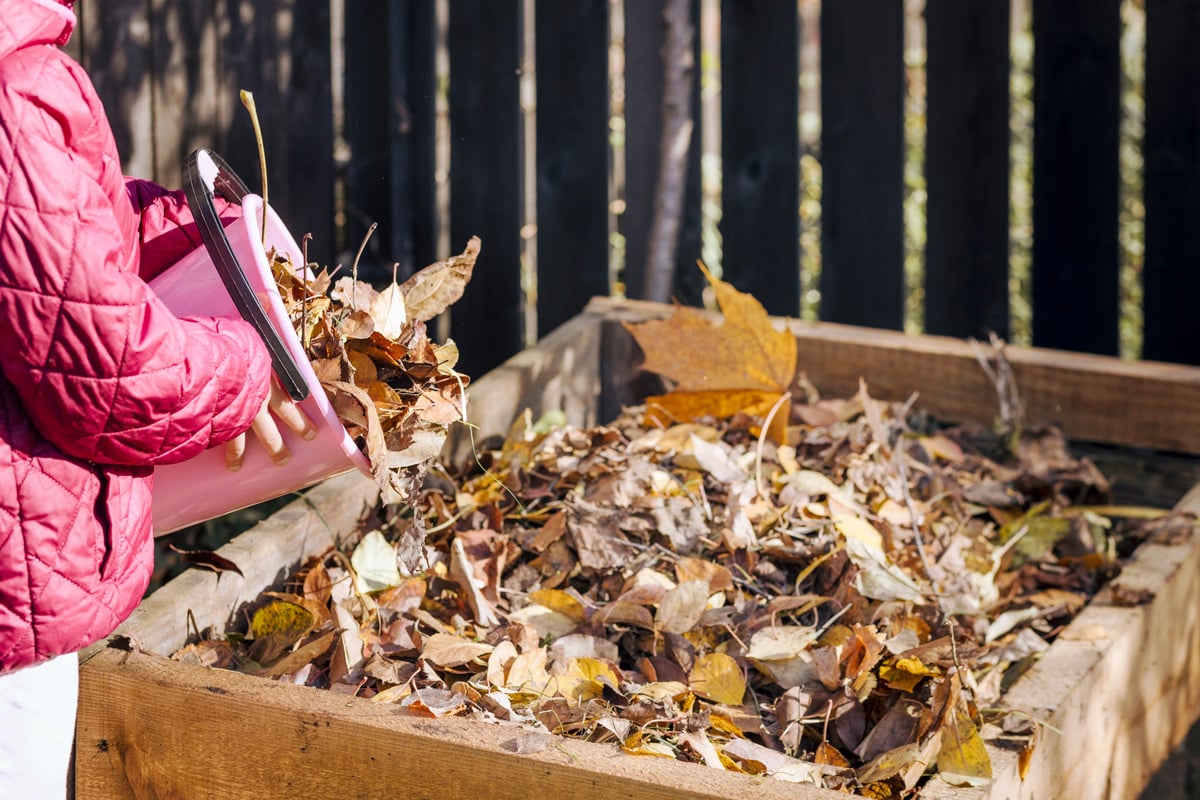 a person in a pink coat dumps a plastic bucket of leaves into a compost bin